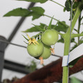 159903_20170704152710_01.JPG