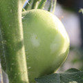 159903_20170706163925_01.JPG