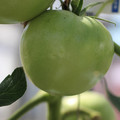 159903_20170804094512_01.JPG