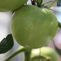 159903_20170804094513_01.JPG