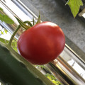 035511_20190215162839_03.JPG