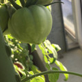 035521_20180307161912_01.JPG