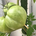 035521_20190207144854_01.JPG