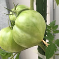 035521_20190207144901_01.JPG