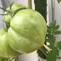 035521_20190207144909_01.JPG