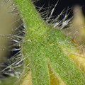 039907_20171221073323_01.JPG