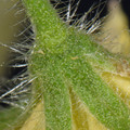 039907_20171221073348_01.JPG