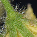 039907_20171221073439_01.JPG