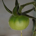 039908_20180109141200_01.JPG