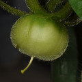 039908_20180109142454_01.JPG