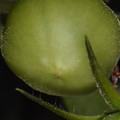 039908_20180109142726_01.JPG