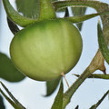 039908_20180111145139_01.JPG