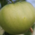 080003_20180403155743_01.JPG