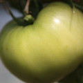 080003_20180419140547_01.JPG