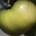 080003_20180419140548_02.JPG