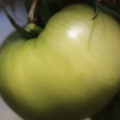 080003_20180419140550_01.JPG