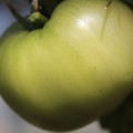 080003_20180419140550_03.JPG