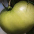 080003_20180419140550_04.JPG