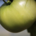 080003_20180419140551_02.JPG