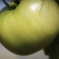 080003_20180419140551_03.JPG
