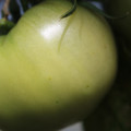 080003_20180419140552_02.JPG