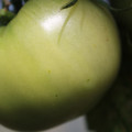 080003_20180419140553_02.JPG