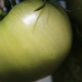080003_20180419140553_03.JPG