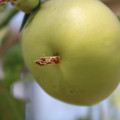 080003_20180419140606_02.JPG