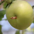 080003_20180419140609_01.JPG