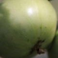 080003_20180419140653_01.JPG