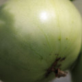 080003_20180419140653_03.JPG
