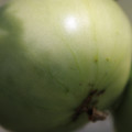 080003_20180419140653_05.JPG