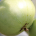080003_20180419140654_05.JPG
