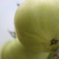 080003_20180419140915_05.JPG
