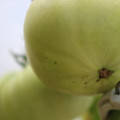 080003_20180419140916_02.JPG