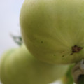 080003_20180419140916_05.JPG
