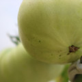 080003_20180419140917_01.JPG