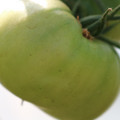 080003_20180419140944_01.JPG