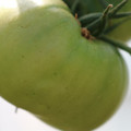 080003_20180419140944_04.JPG
