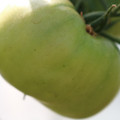 080003_20180419140945_04.JPG