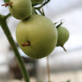 080003_20180426173905_03.JPG