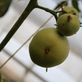 080003_20180426173926_02.JPG