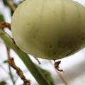 080003_20180426174043_01.JPG