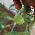 080003_20181107123020_04.JPG
