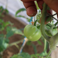 080003_20181107123021_01.JPG