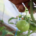 080003_20181107123024_01.JPG