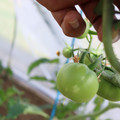 080003_20181107123024_02.JPG