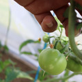 080003_20181107123024_05.JPG