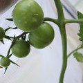 080003_20181107123034_04.JPG