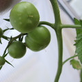 080003_20181107123035_02.JPG